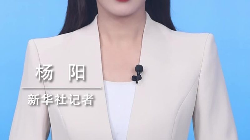 企业搜索定制开发：构建高效信息检索的秘籍
